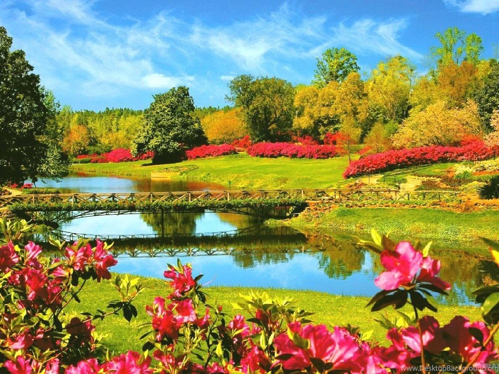 Natural Wallpapers 15   Best Wallpapers Collection