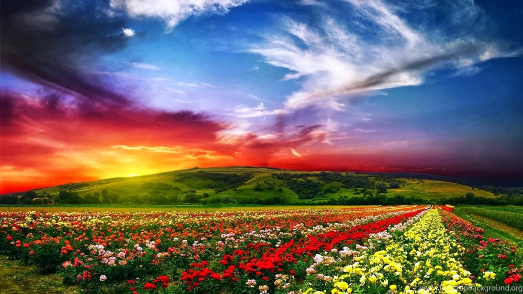 Gorgeous Natural Wallpapers