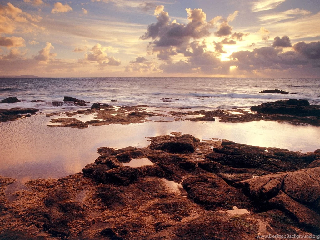 Serene Shore Wallpapers