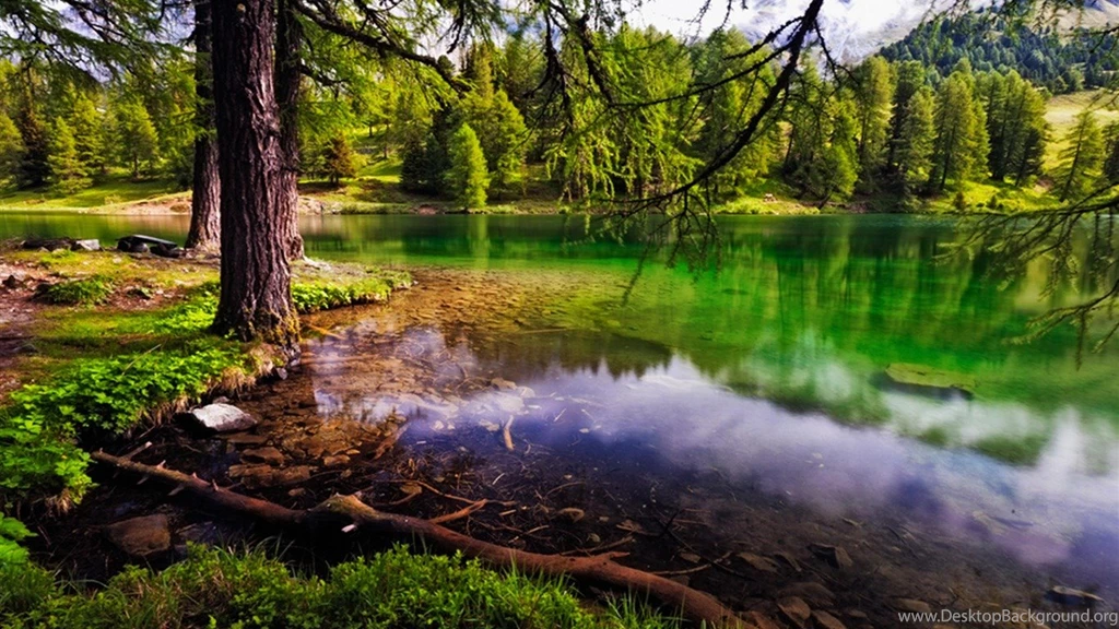 Beautiful Lake Hdr Peaceful Serene Macro Photography Wallpapers ...