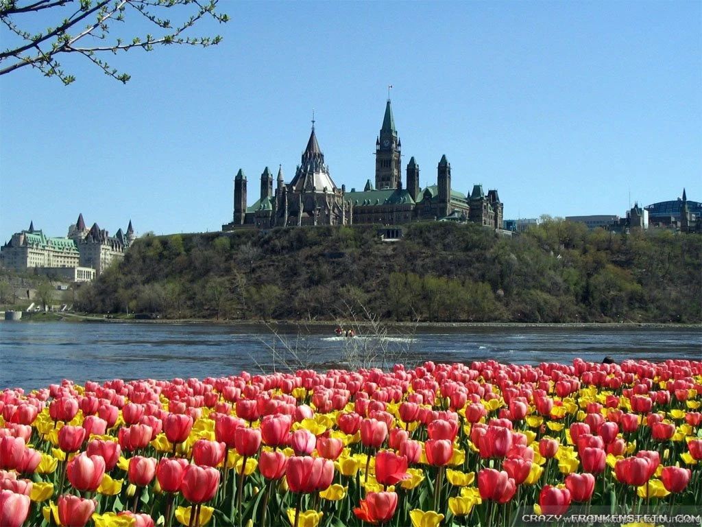 Beautiful Spring Wallpapers 2   Crazy Frankenstein