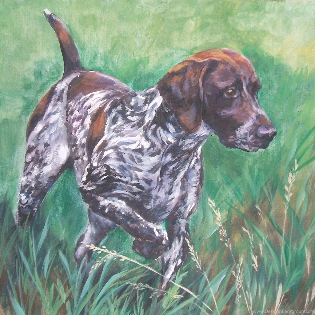 German Shorthaired Pointer Photos And Wallpapers. The Beautiful ...