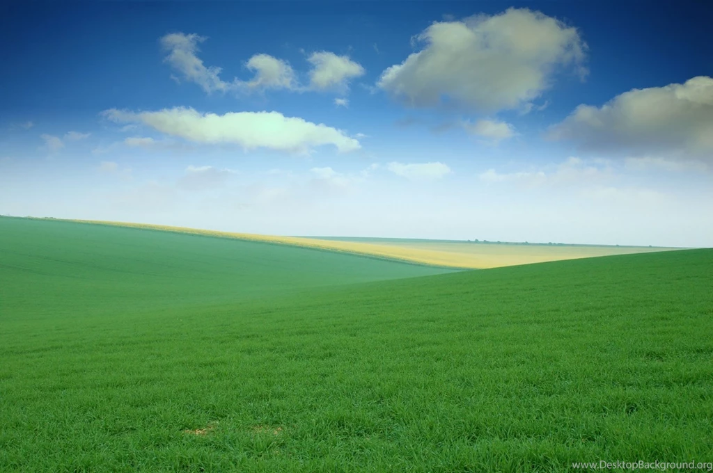 Dell Wallpapers