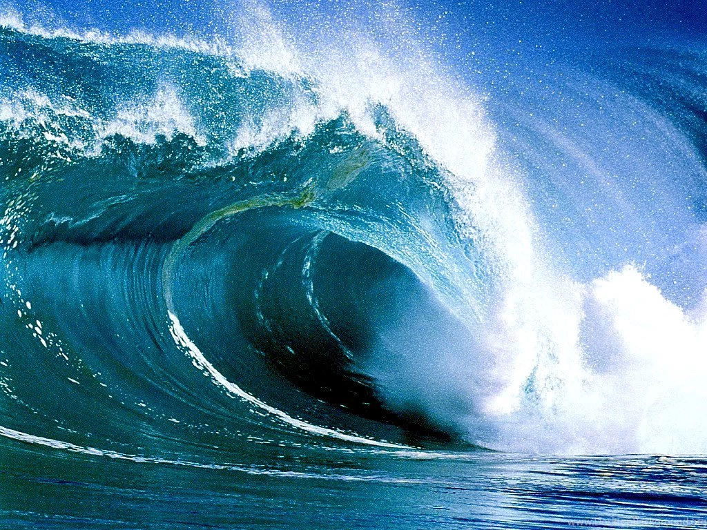 What Kind Of Wave Are You?