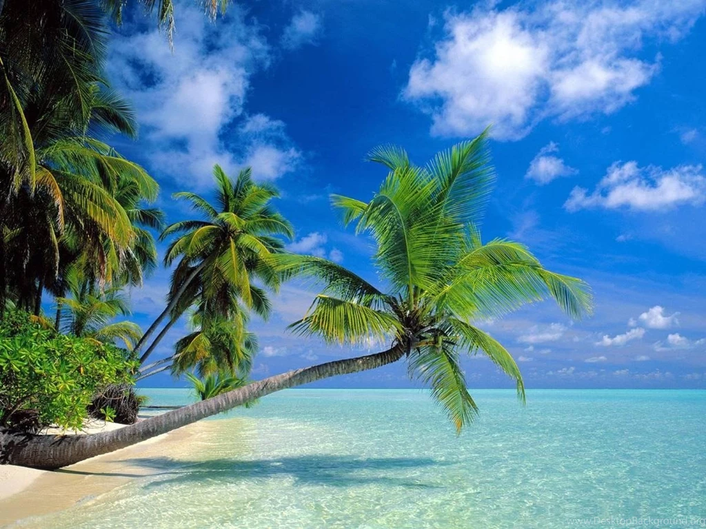 Beach Side HD Wallpapers 7 Wallpapers Z