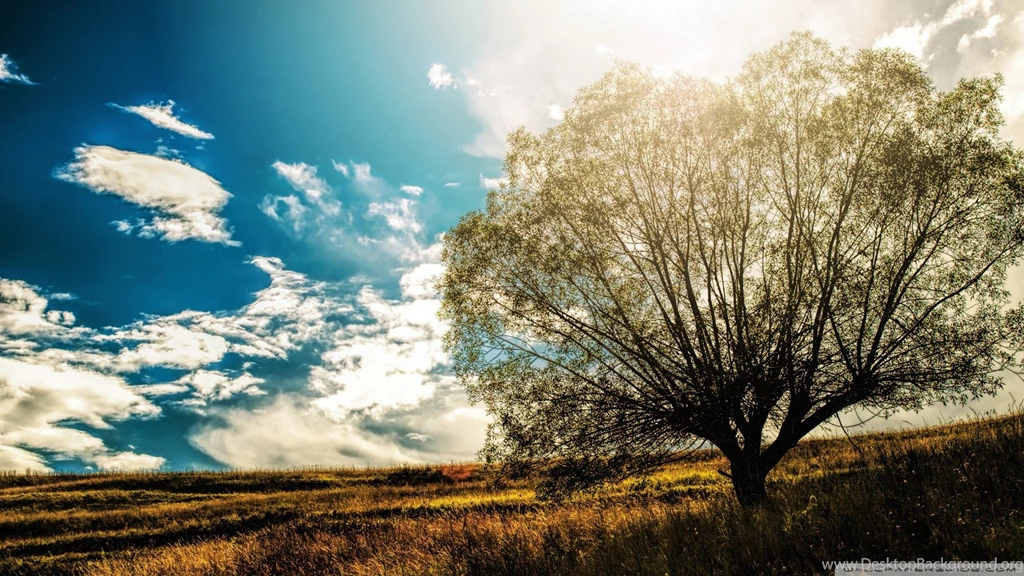 Hubble Wallpapers Widescreen 1920 X 1080 (page 2)   Pics About Space