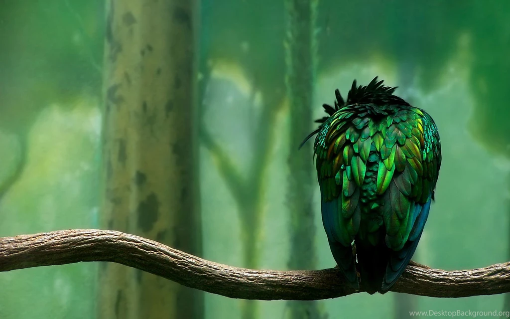 Html I Can't Get This Bootstrap Thing Working Properly Stack ...