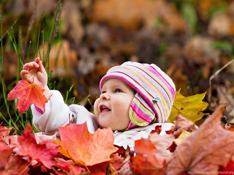 Wallpapers Download: Latest Sweet Baby Pictures Wallpapers 2012
