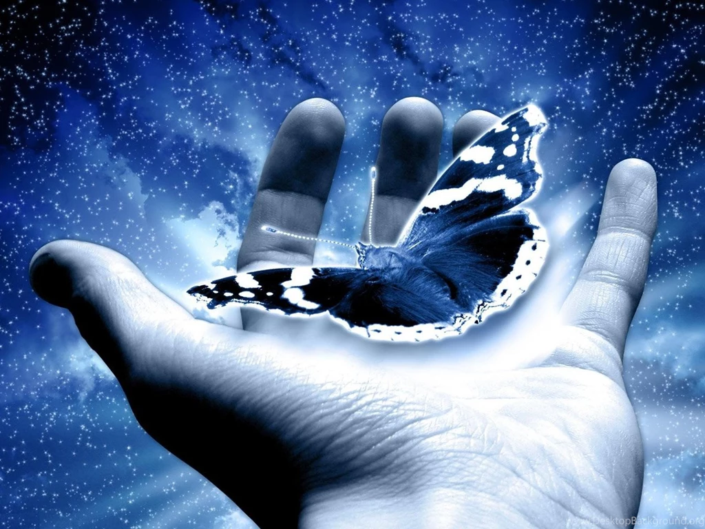 Free Butterly In Your Palm Digital 3D Computer Desktop Wallpapers