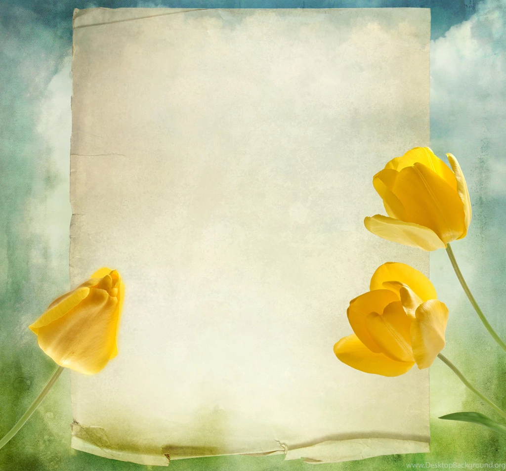 HD Greeting Wallpapers And Photos