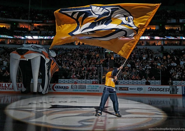 Predators Vs. Bruins 12/23/2013 Nashville Predators Photo ...