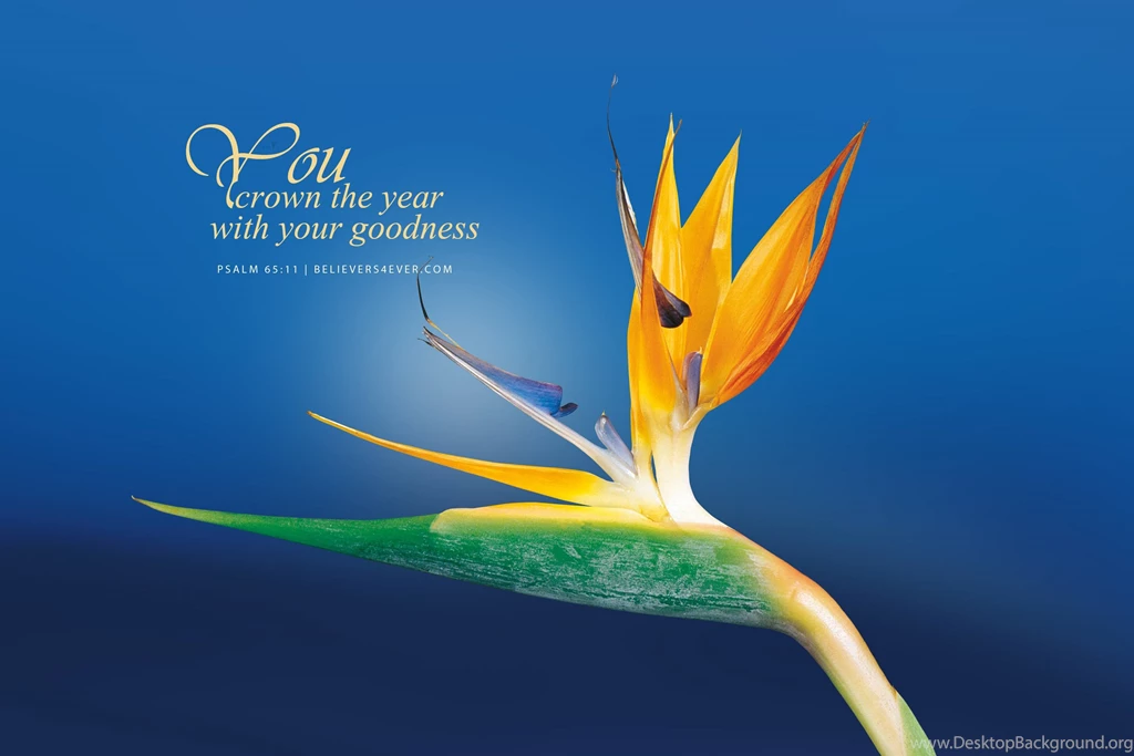New Year Archives Believers4ever.comBelievers4ever.com