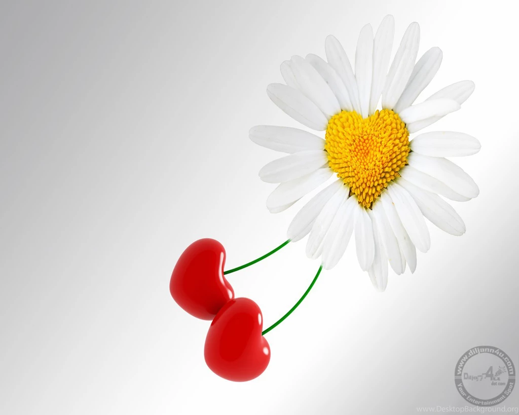 Beautiful Heart Wallpaper, Beautiful Heart Pictures