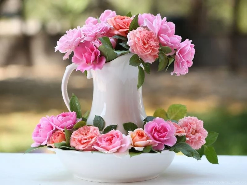 Vase, Pink Rose Flowers, Bokeh Wallpaper,Vase HD Wallpaper,Pink HD ...