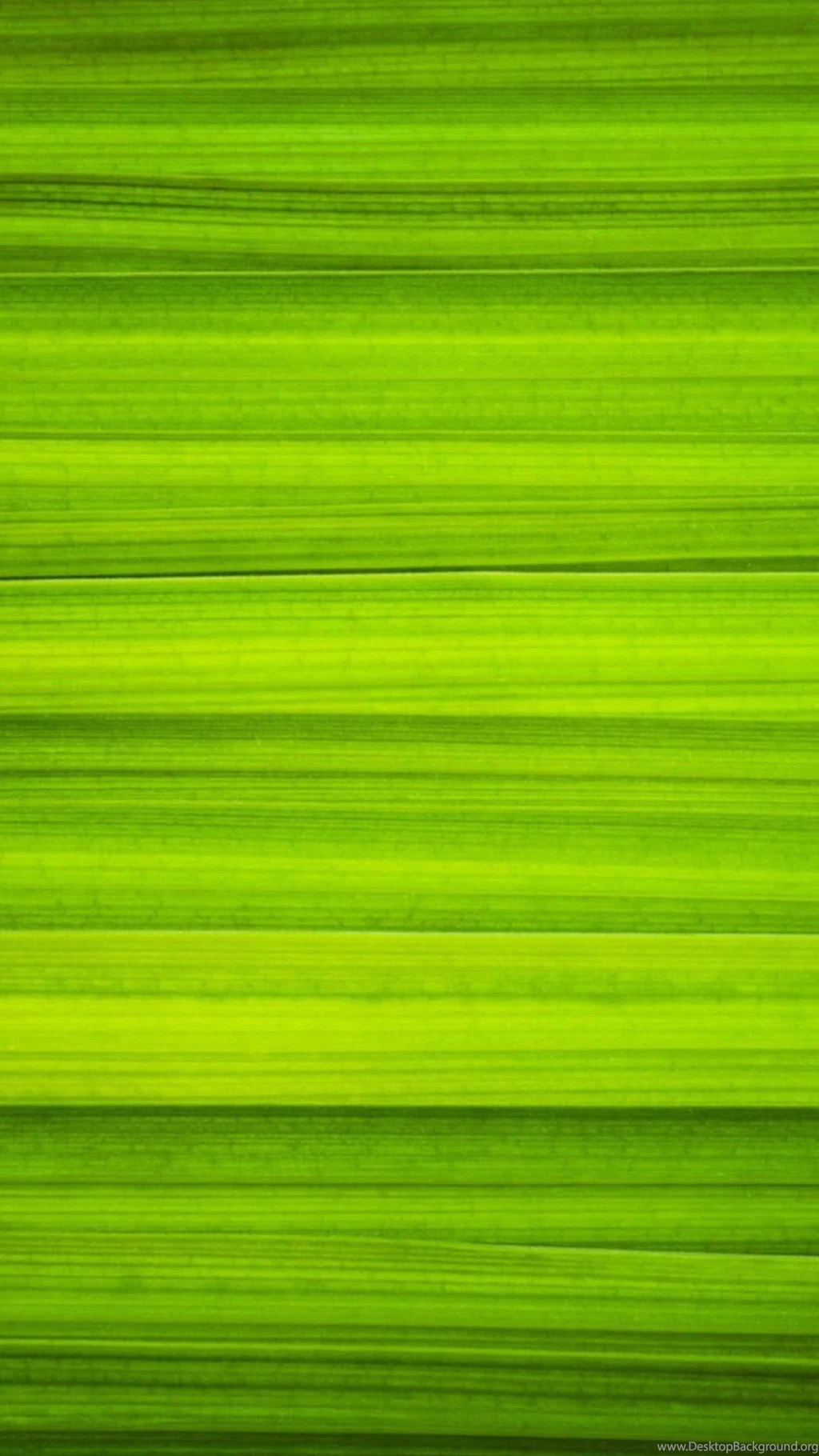Simple Green Galaxy Note 4 Wallpapers