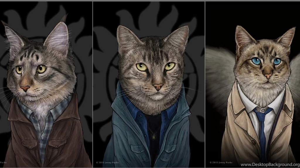 Cats: Supercatural Fan Art Animals Cats Supernatural Wallpapers ...