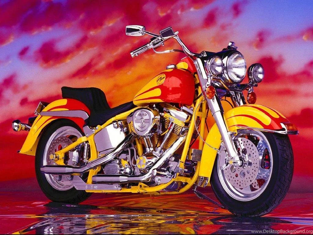 Autos Motorcycles: February 2010