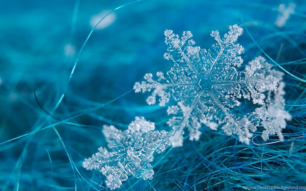 Snowflake Wallpaper Images Ndemok.com