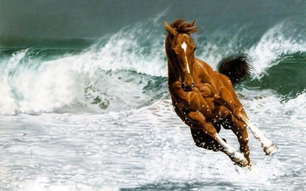HD Wallpapers Desktop Horse Free Beautiful Desktop Wallpapers 2014
