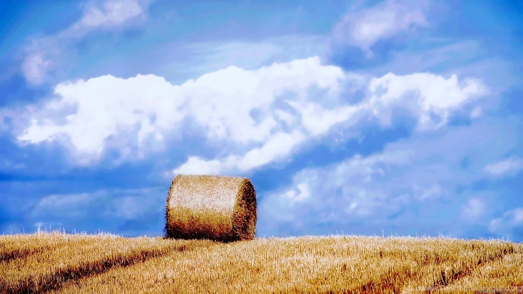 Hd Widescreen Wallpapers 1920x1080