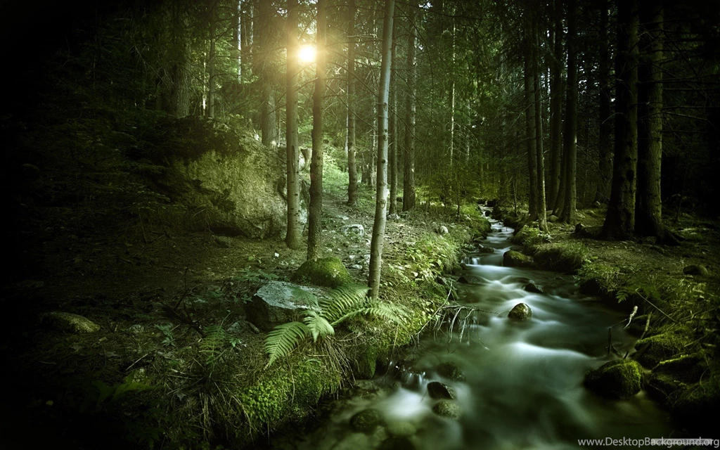 Free Wallpapers Themes Wallpapers Zone