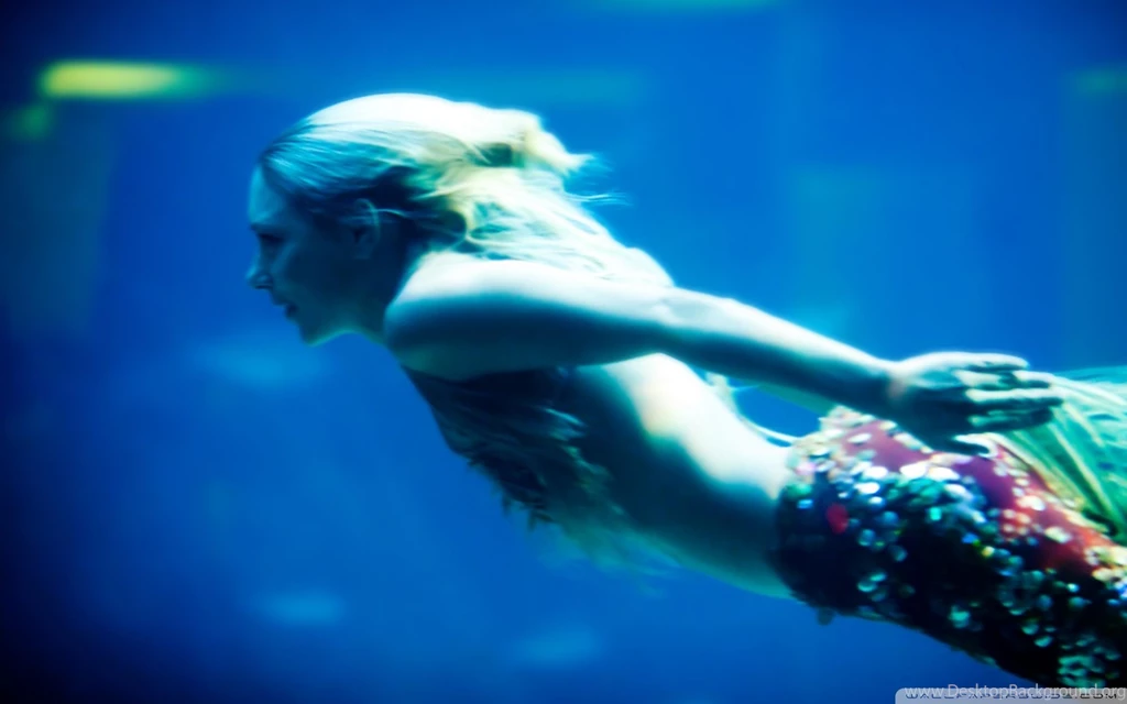 I Think I Just Saw A Mermaid HD Desktop Wallpapers : Widescreen ...