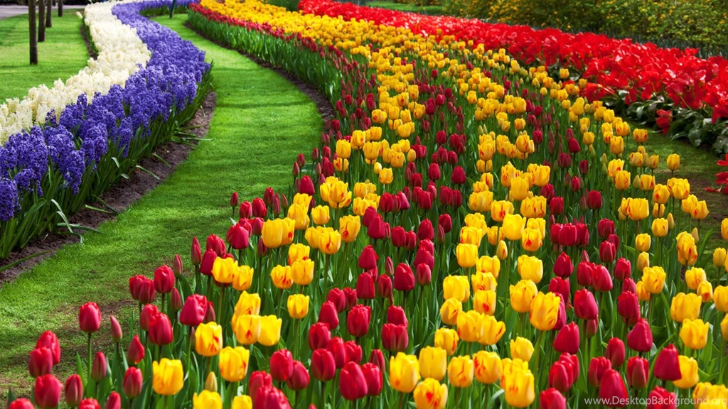 Flower Garden Walpaper