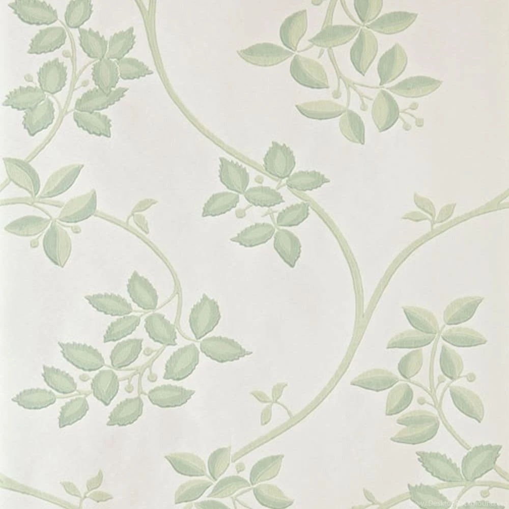 Decor Supplies