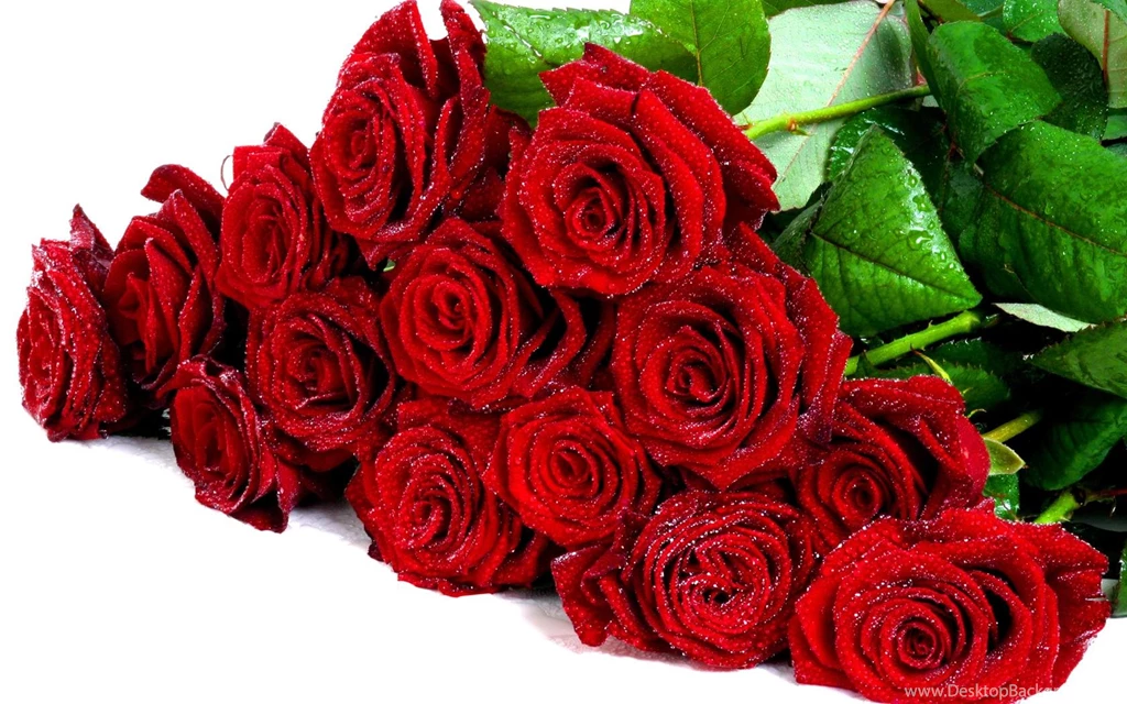 LOVE ROSES WALLPAPER   (
