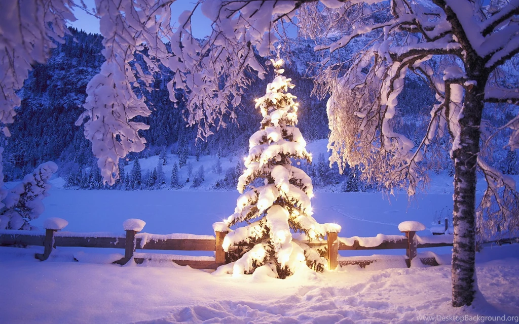 Merry Christmas Holiday Vacation Gifts Tree Happy Beautiful Santa ...