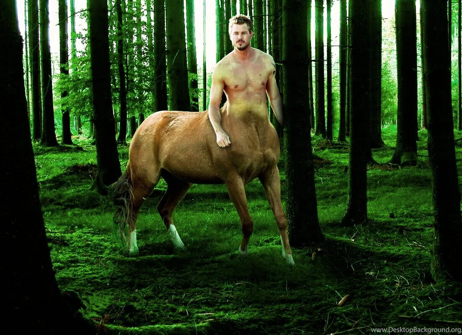 Centaur: The Forest Lord By EquineRenaissance On DeviantArt
