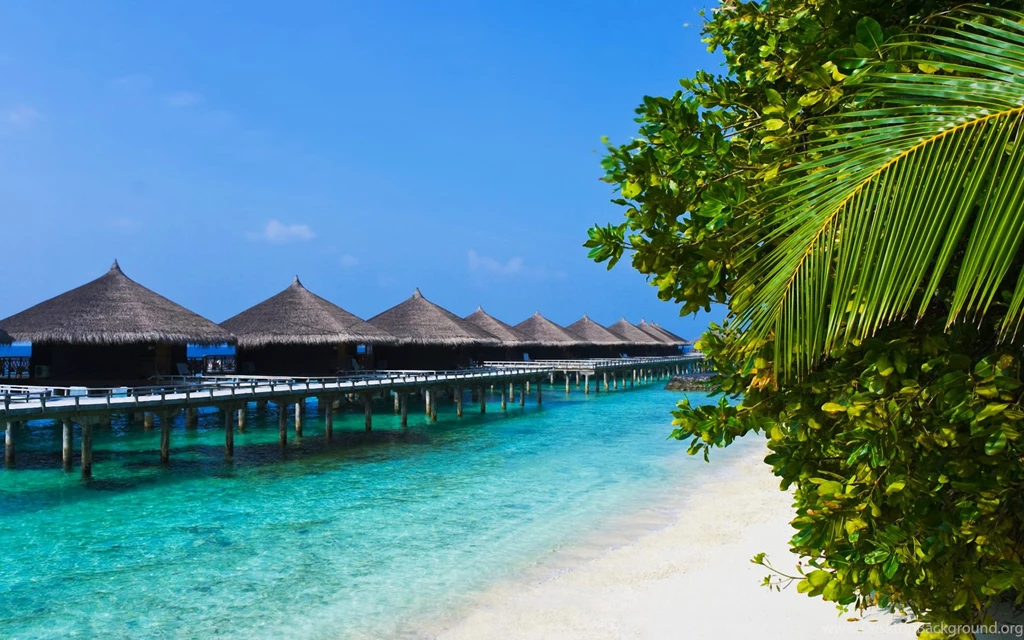 Bungalow Wallpapers