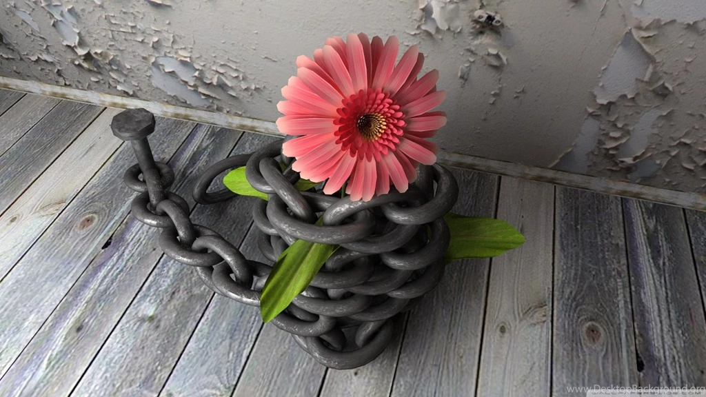 3D Flower With Chain HD Desktop Wallpapers : Widescreen : High ...