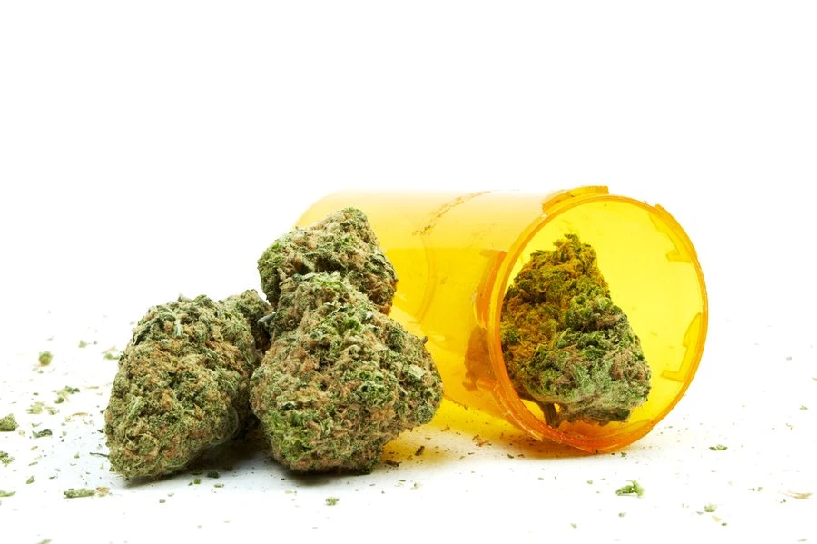 Don't Judge Your Strain By Its Name