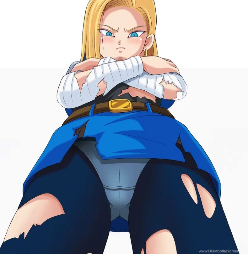 Android 18 Dragon Ball Z Others