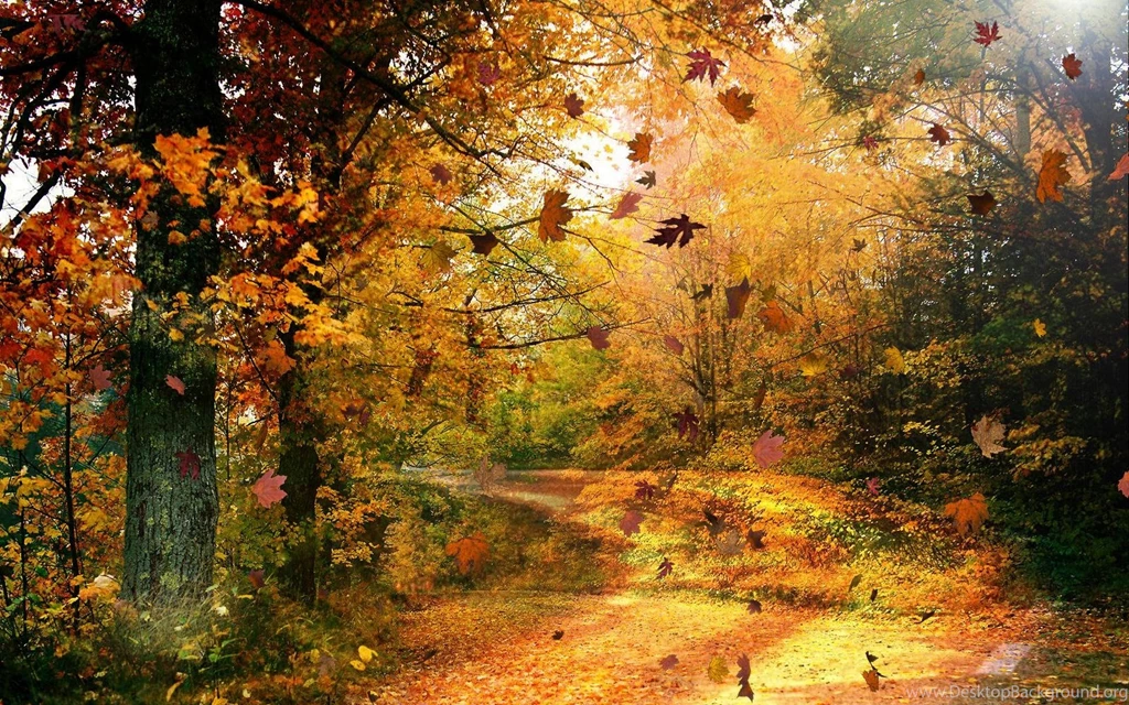 Autumn Wallpapers Hd