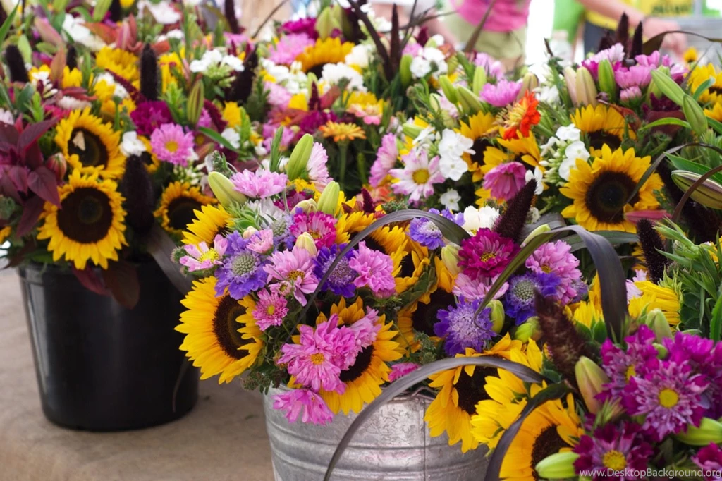 Fall Flower Pictures Wallpapers HD Fine
