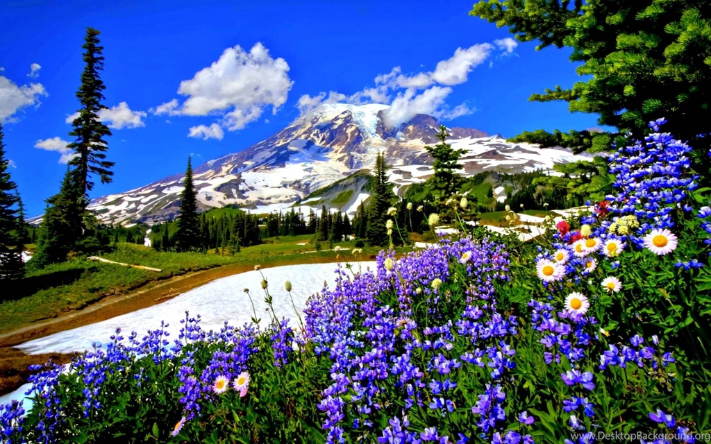 50 Free Spring Wallpapers HD For Desktop