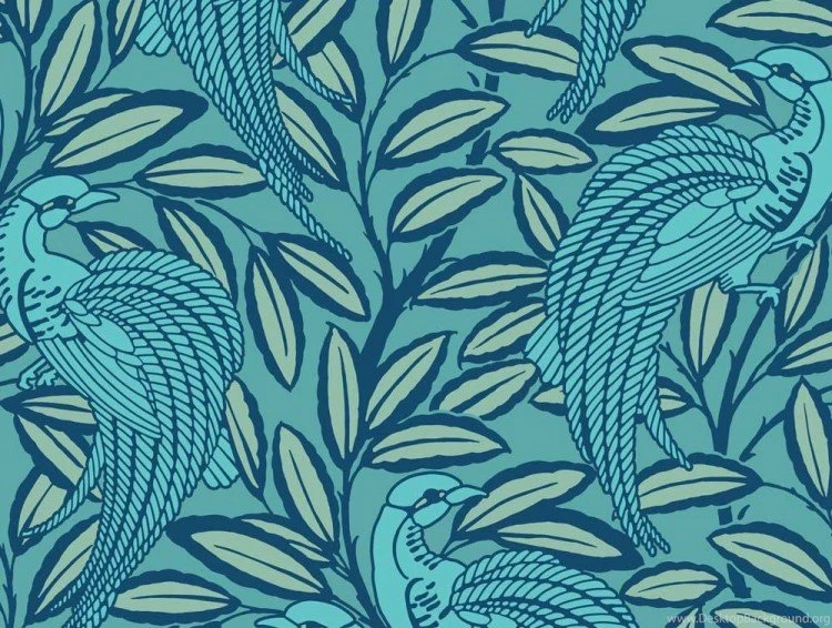 Peacock2 8a29ba000a3cc8abf0a668903ab9dfd9.jpg