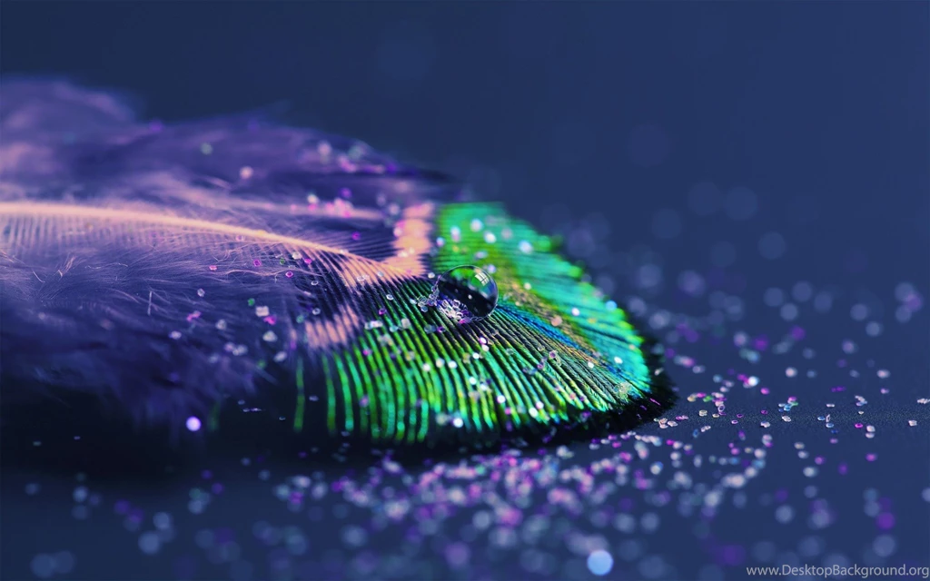 Peacock Wallpapers
