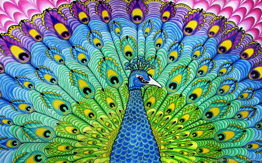 Colourful Peacock