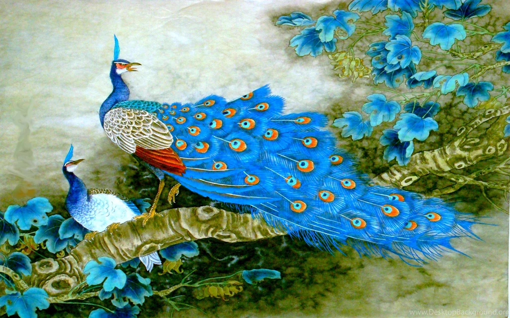 Indian Blue Peacock >> HD Wallpaper, Get It Now!