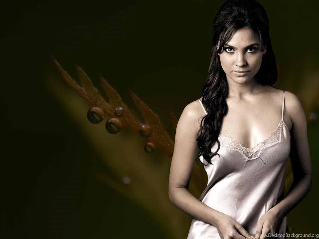 Wallpapers Celebrities Lara Dutta Beautiful Collection Of 1024x768 ...
