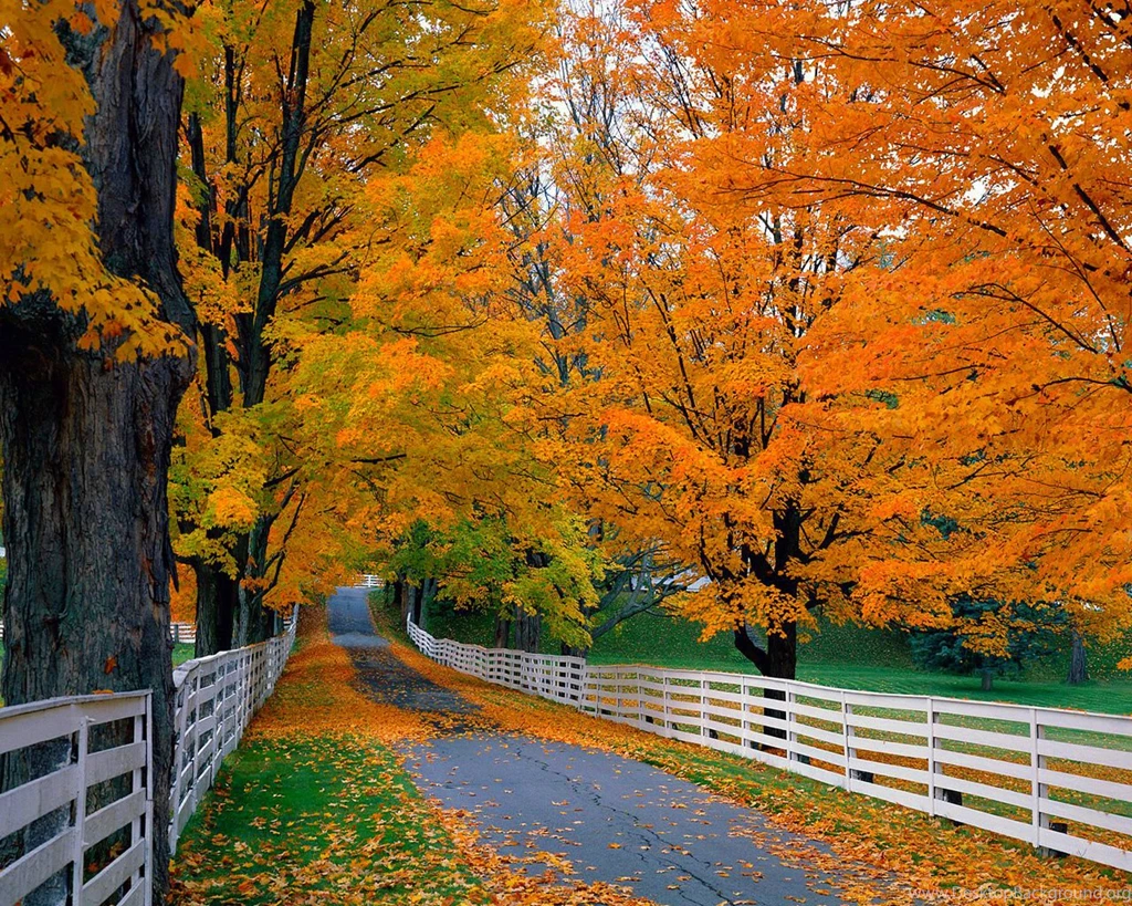 Fall Colors Desktop Wallpapers Wallpapers Zone