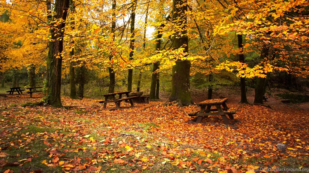 Autumn Leaves