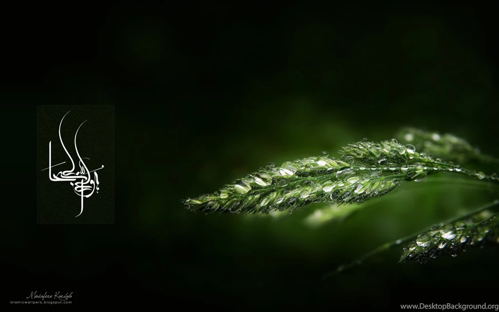 Download Free HD Wallpapers : Wallpapers Asma Allah Download Free ...