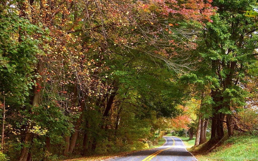 HD Wallpapers: Beautiful Natural Scenery