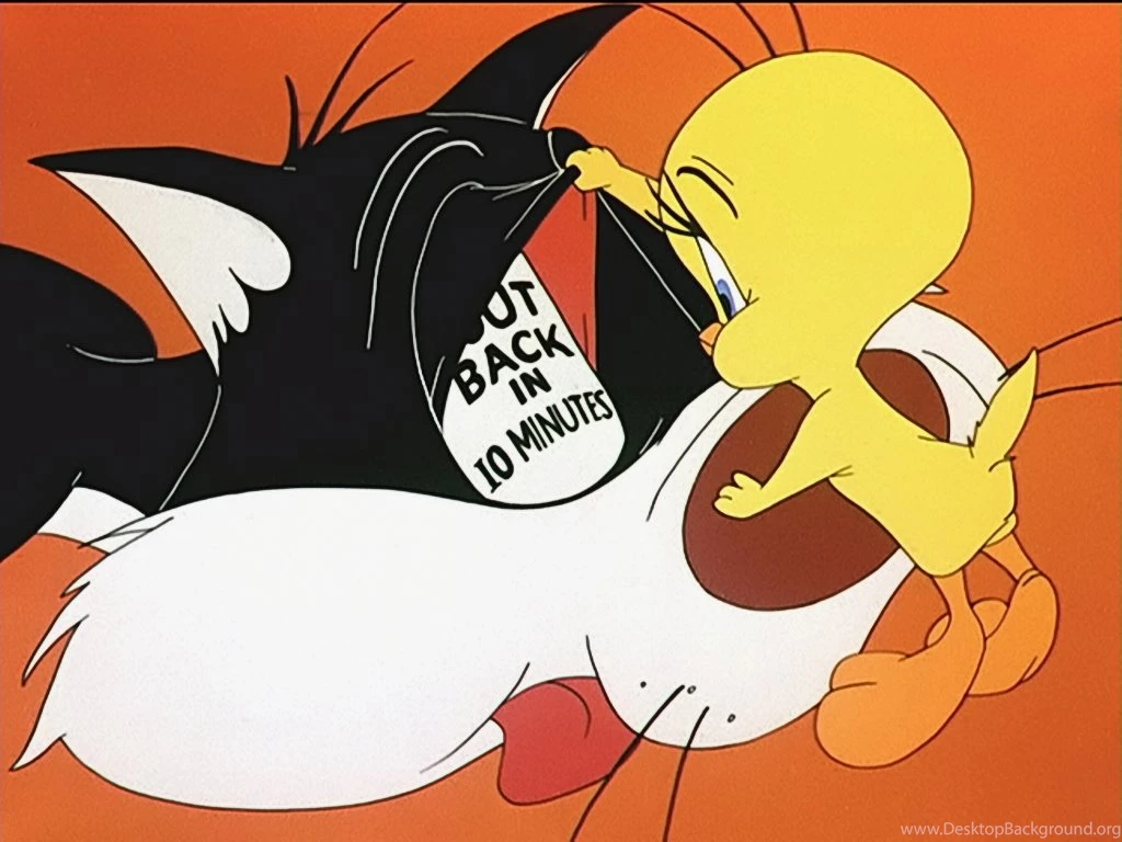 Sylvester And Tweetie Pie 7 High Definition : Widescreen Wallpapers