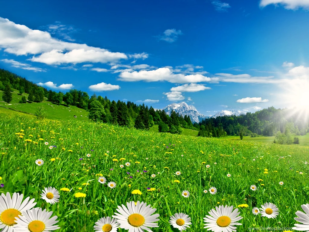 Beautiful HD Wallpapers