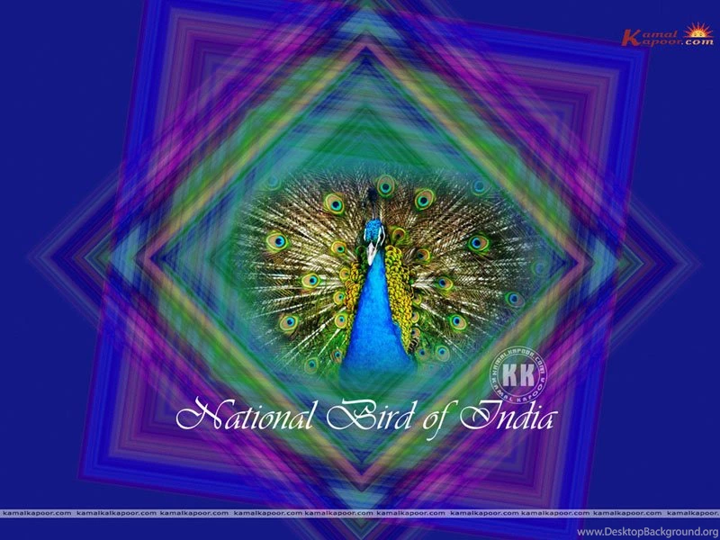 Patriotic Wallpapers, Different Patriotic Wallpaper, Patriotic ...